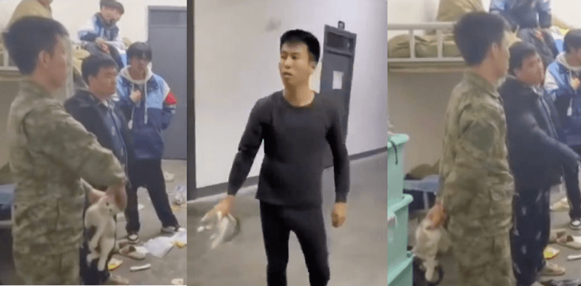 湘西为民职校教官虐猫实录曝光丨两次重摔致死细节太残忍 完整视频在线播放