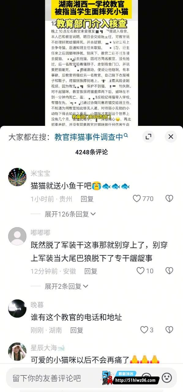 湘西为民职校教官虐猫实录曝光丨两次重摔致死细节太残忍 动物保护