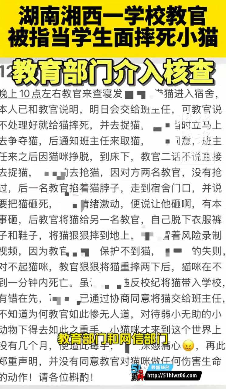 湘西为民职校教官虐猫实录曝光丨两次重摔致死细节太残忍 校园暴力