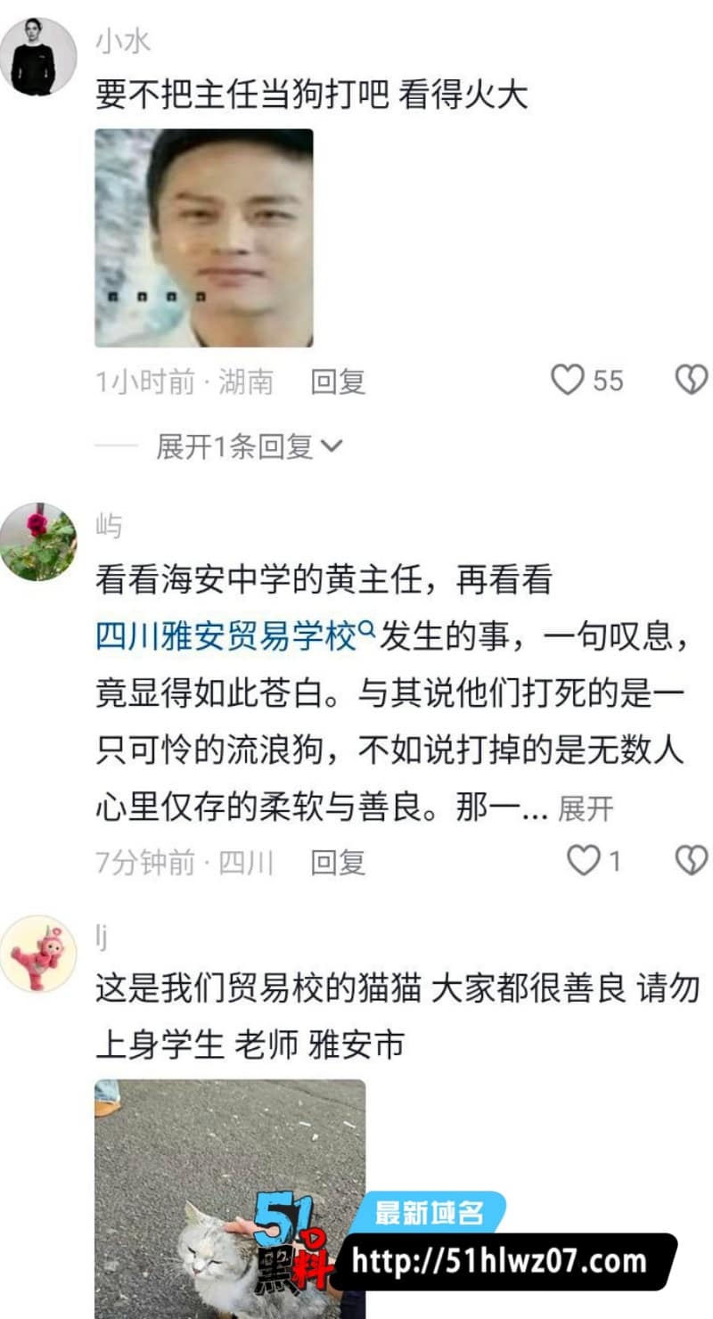 四川贸易学校虐狗视频流出丨员工棍打流浪狗至死画面太残忍