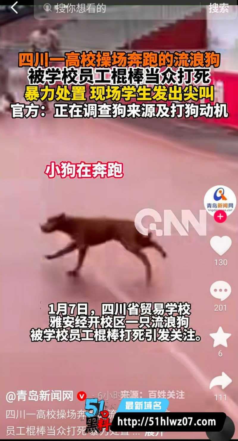 四川贸易学校虐狗视频流出丨员工棍打流浪狗至死画面太残忍 雅安教育局