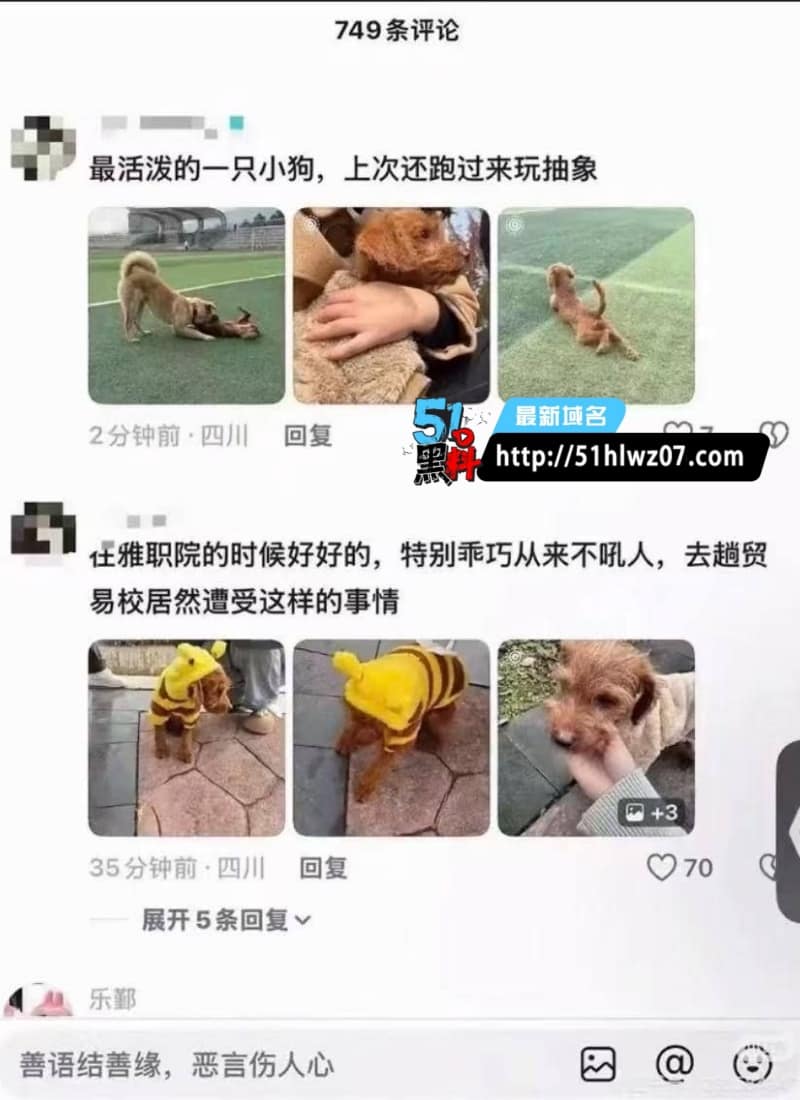 四川贸易学校虐狗视频流出丨员工棍打流浪狗至死画面太残忍 动物虐杀