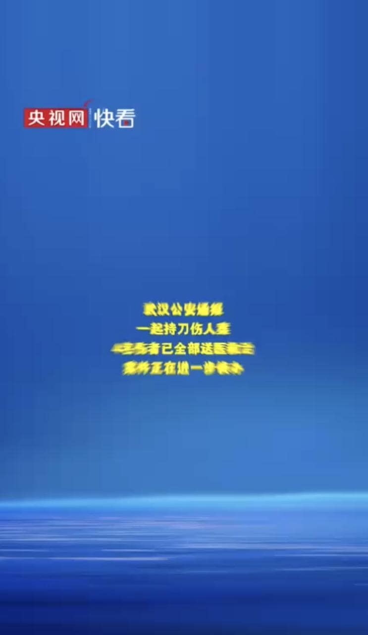武汉青松路这波太离谱,44岁大叔持刀随机捅了4个人,现场乱成锅了 完整视频在线播放