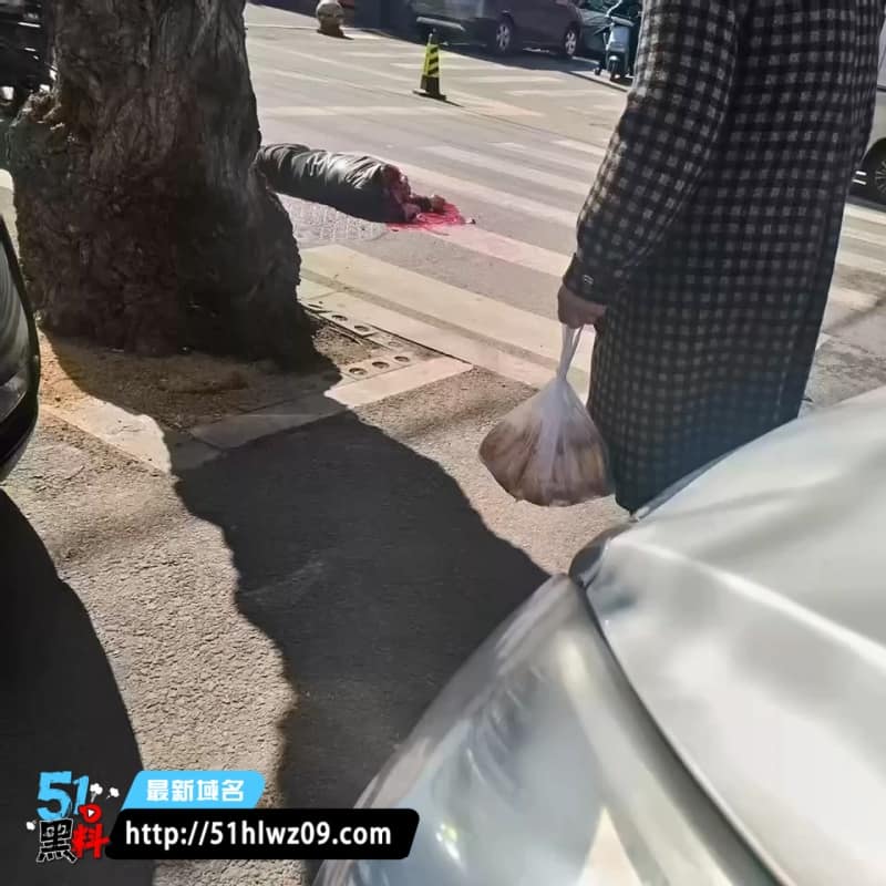 沈阳南五马路随机砍人太惨了丨反抗被砍头凶手还跳楼了 突发爆料