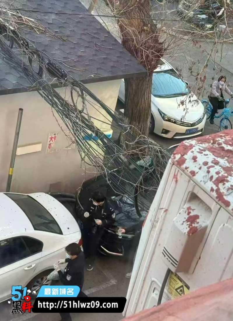 沈阳南五马路随机砍人太惨了丨反抗被砍头凶手还跳楼了 爆料