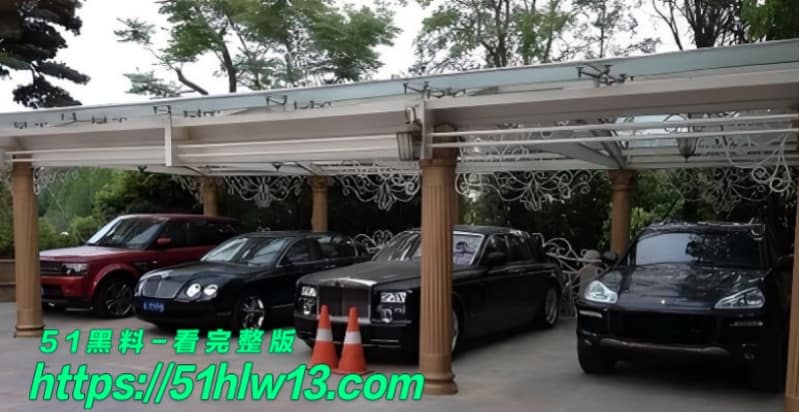 王维丹这波反差太离谱，重庆女检察官私下竟给亿万富豪生娃 八卦