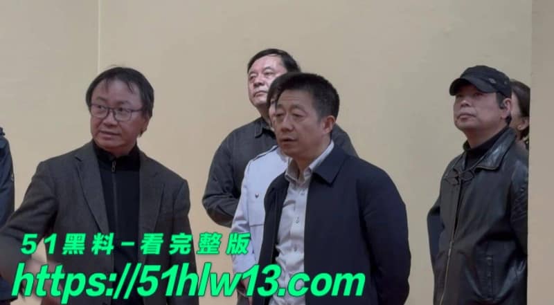 白鹿牵手江苏文投前董事长王洪俊深夜逛街被拍反差太大了 八卦