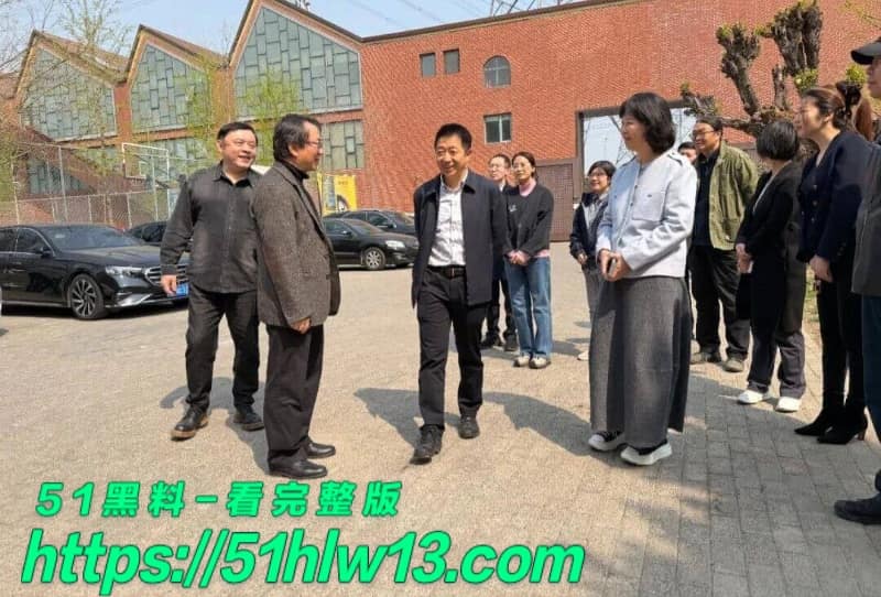 白鹿牵手江苏文投前董事长王洪俊深夜逛街被拍反差太大了 恋情