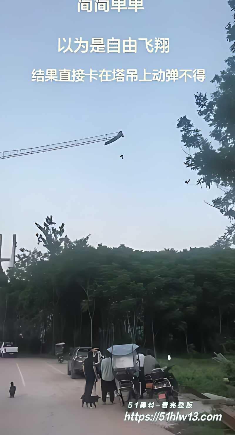 南充男子挂塔吊高空悬停4小时实录丨这波惊魂救援才刚开始 高空作业事故