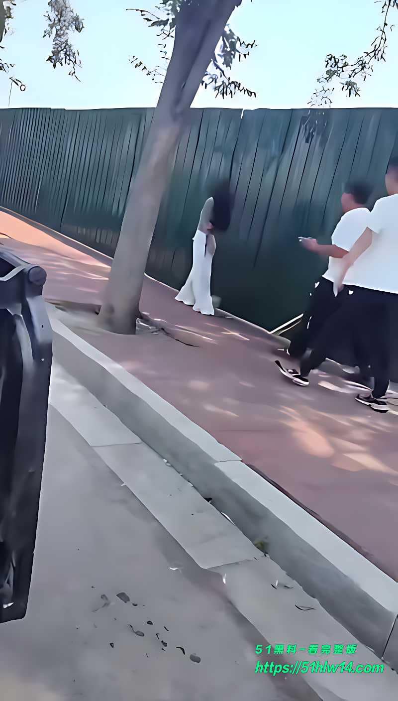 白裙少妇街头偷情被抓，丈夫拿竹竿现场暴揍，路人劝架还被骂 吃瓜视频