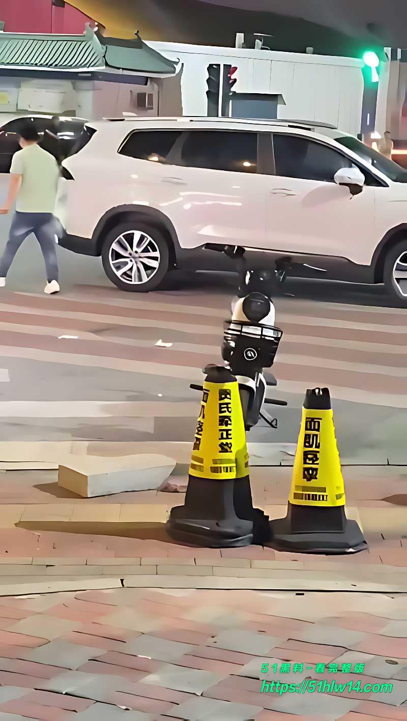 河北街头强行抬走女孩，凌晨哭喊反抗细节让人后脊梁发冷 街头暴力视频