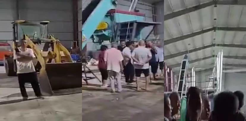 山东菏泽病死猪加工厂被端实录丨村民拿锤子围堵现场太猛了 完整视频在线播放