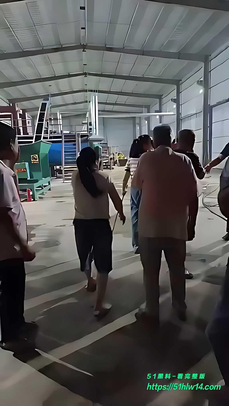 山东菏泽病死猪加工厂被端实录丨村民拿锤子围堵现场太猛了 食品安全内幕