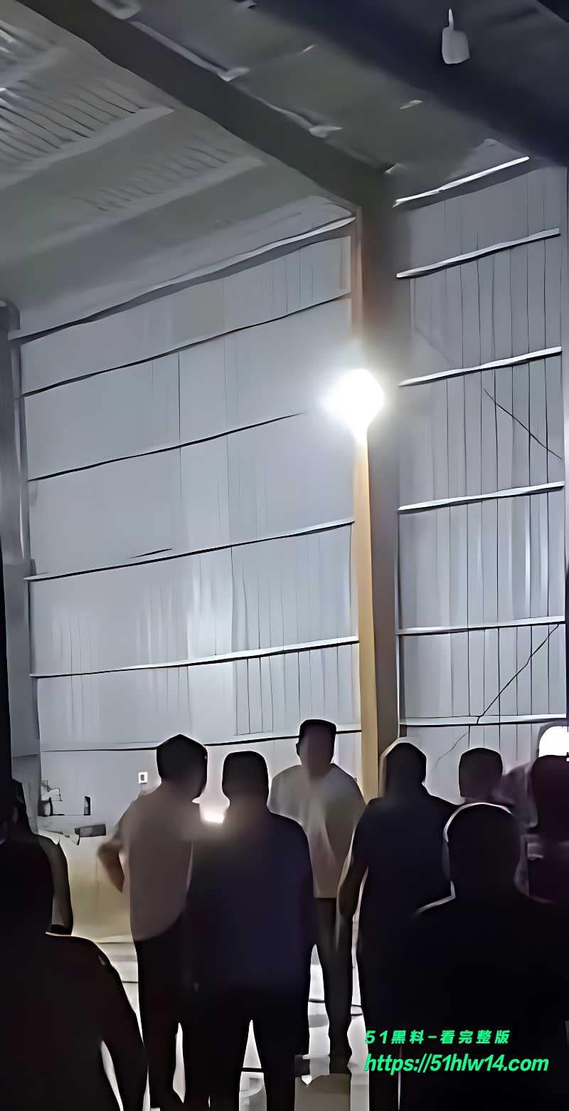 山东菏泽病死猪加工厂被端实录丨村民拿锤子围堵现场太猛了 村民围堵视频