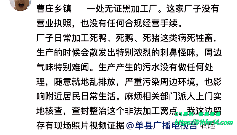 山东菏泽病死猪加工厂被端实录丨村民拿锤子围堵现场太猛了 黑作坊被端