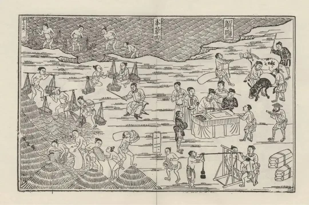 古代房顶晒海水自制盐能躲过去吗：提问里的设想拆开看