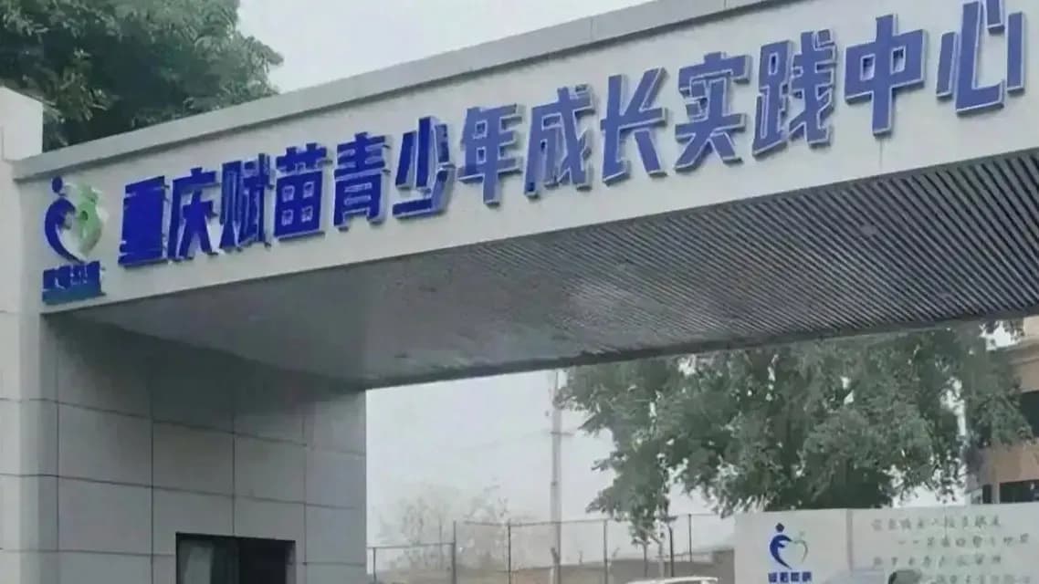31岁女儿被送戒网瘾机构159天：陪玩是兼职还是沉迷