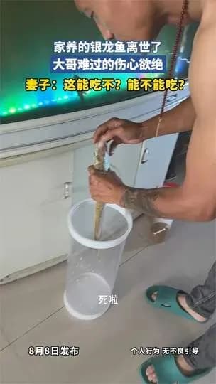 银龙鱼离世该不该吃：两派吵起来了