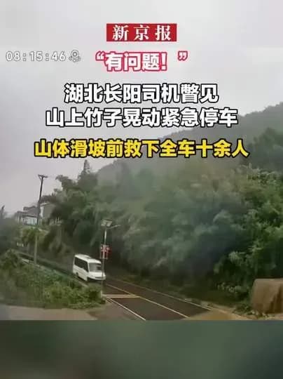 司机瞥见竹子晃动紧急停车始末：从异常到脱险经过了几步
