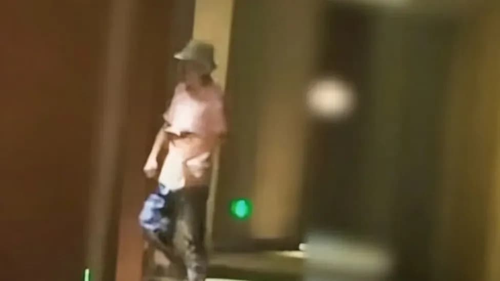 包贝尔疑似出轨风波始末：一条爆料怎么走到全网关注