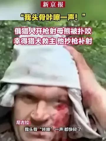 俄猎人猎熊反被扑咬背后：跟以往人熊冲突比，凶险差在哪