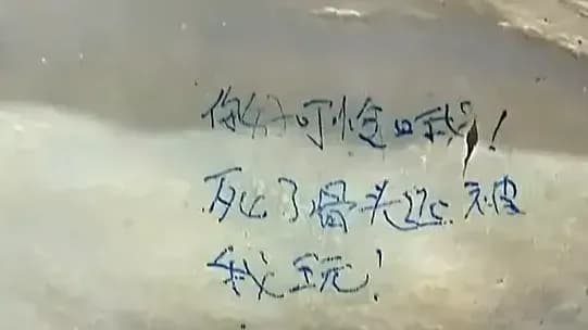 医学生拿骨骼标本玩梗始末：「大体老师」为何刺痛网友