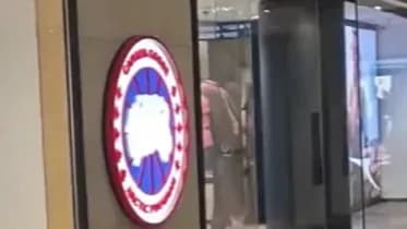 加拿大鹅福泉山垃圾事件回应：道歉说了什么，没提什么