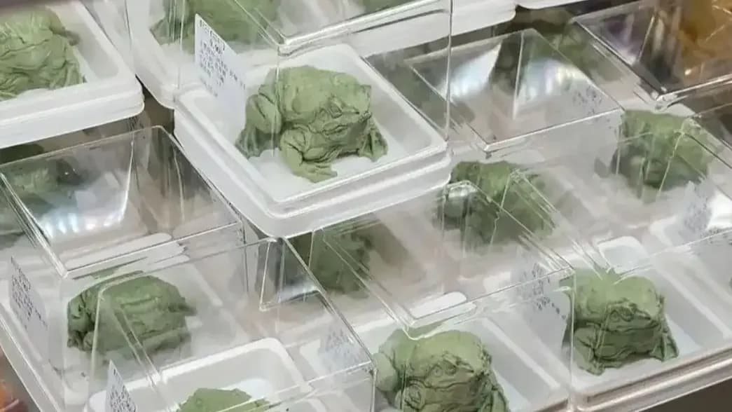 农大食堂9.9元蛤蟆蛋糕：学生为何抢着买