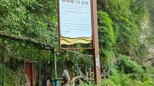 大学生旅游攻略被中年人照搬：玩一天躺三天的来龙去脉