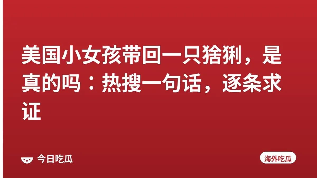 美国小女孩带回一只猞猁，是真的吗：热搜一句话，逐条求证