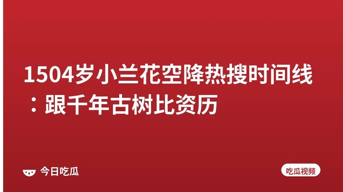 1504岁小兰花空降热搜时间线：跟千年古树比资历