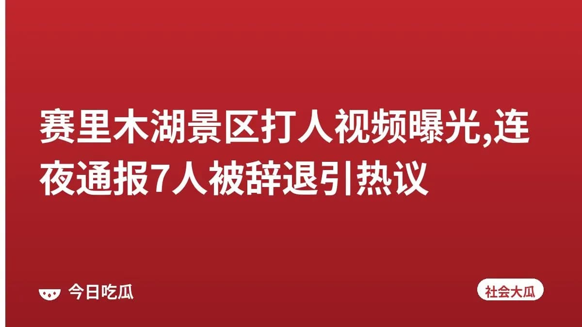 赛里木湖景区打人视频曝光,连夜通报7人被辞退引热议