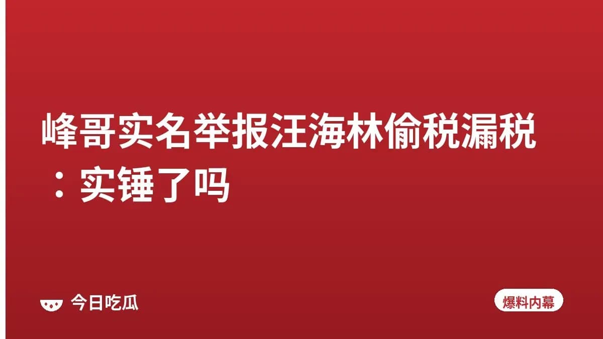 峰哥实名举报汪海林偷税漏税：实锤了吗