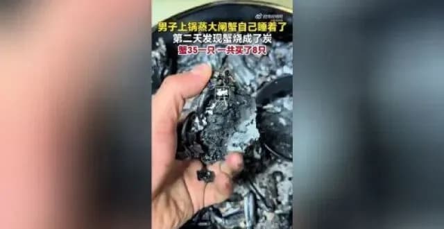 陈先生回应蒸蟹睡过头：8只大闸蟹烧成炭，他认了什么