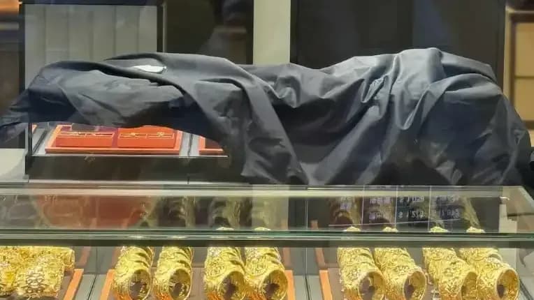 大埔金链案是劫还是盗：通报写的是盗窃，7.9万港元