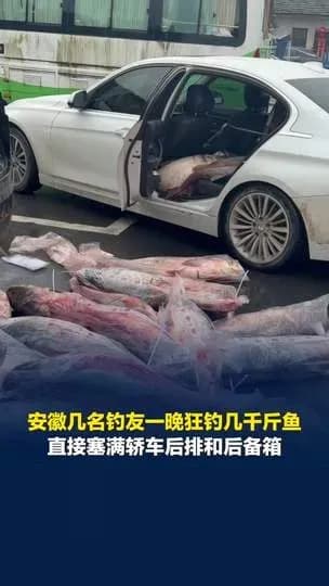 钓友一晚狂钓几千斤鱼塞满后备箱始末：这渔获量到底站不站得住