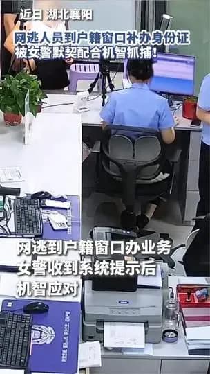 网逃人员补办身份证当场落网始末：从进窗口到被控制几步捋清