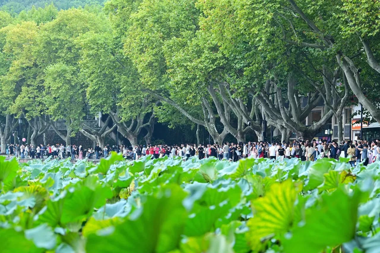 重庆游客杭州5天血块堵膀胱始末：从拒绝手术到急诊