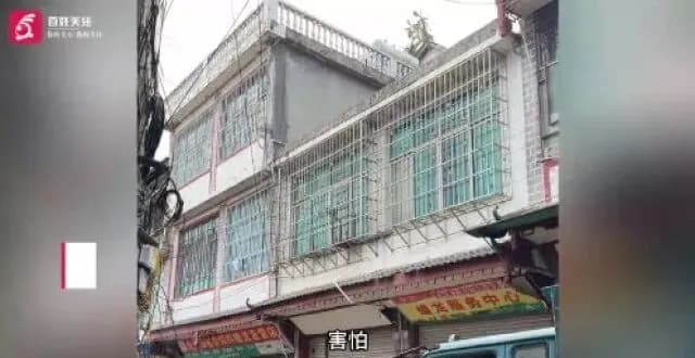 六盘水窗外16斤眼镜王蛇：消防怎么说，知乎为何问互咬