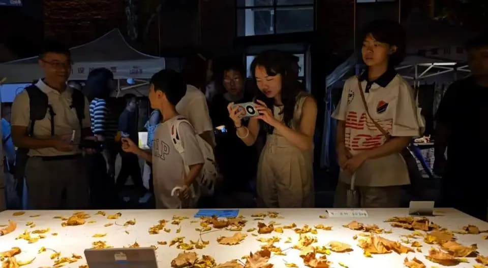 景德镇卖树叶10元一片始末：这门生意怎么走红的