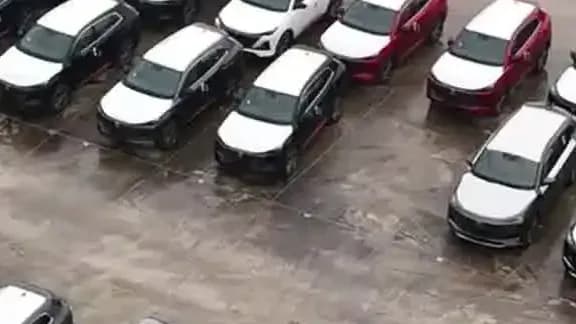 廖景芳租车只付现金：长沙租车人从起疑到要求提前还车