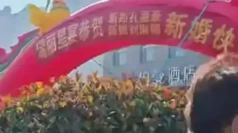 国庆婚礼两种办法：10分钟仪式和草坪游园会，钱与体验怎么比
