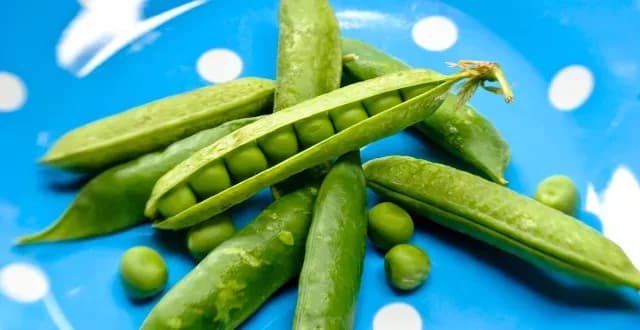 豌豆在鼻孔藏18年成鼻石，医生回应与失聪的关系