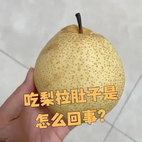 一吃梨就拉肚子、吃西瓜不会：热榜提问把「寒性」说法先驳了