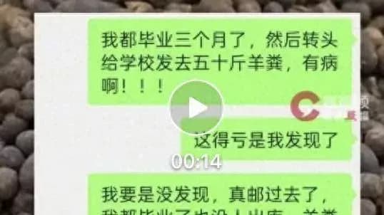 50斤羊粪寄错母校始末：从填错地址到驿站躺20天