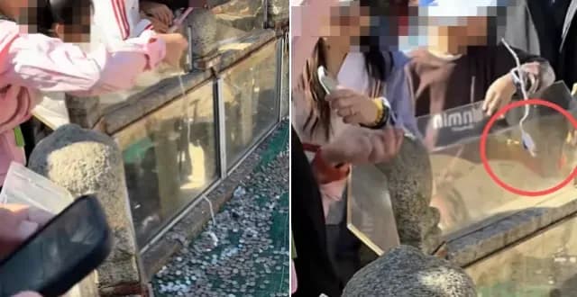 泰山许愿池被孩子用手表磁铁捞硬币：现场被制止，硬币已投回