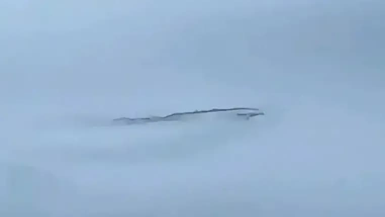 认出天池水怪：先当成船和黑熊，专家说是会抓鱼的鸟
