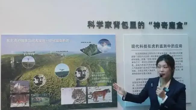 东北虎一生只做三件事是真的吗：尿液味道、114分贝逐条核