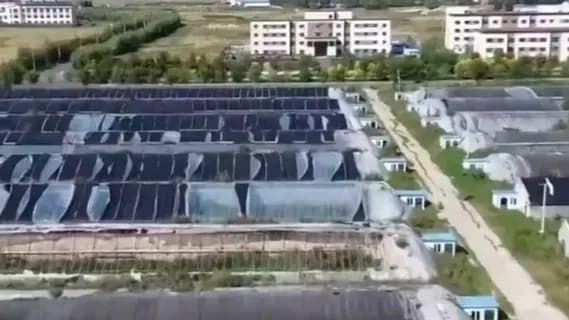 通辽1.2亿农业项目仅建5个烂尾棚，承建公司开工前9天才成立