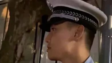 撞树被判全责，司机说树杈太长挡路：是真的吗